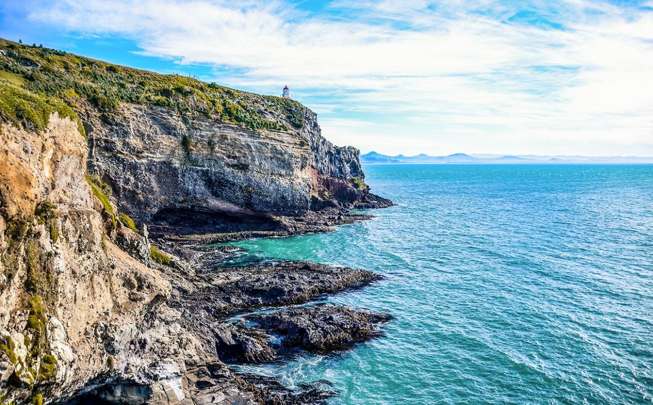 Otago Peninsula, ses manchots, ses Albatros et son château