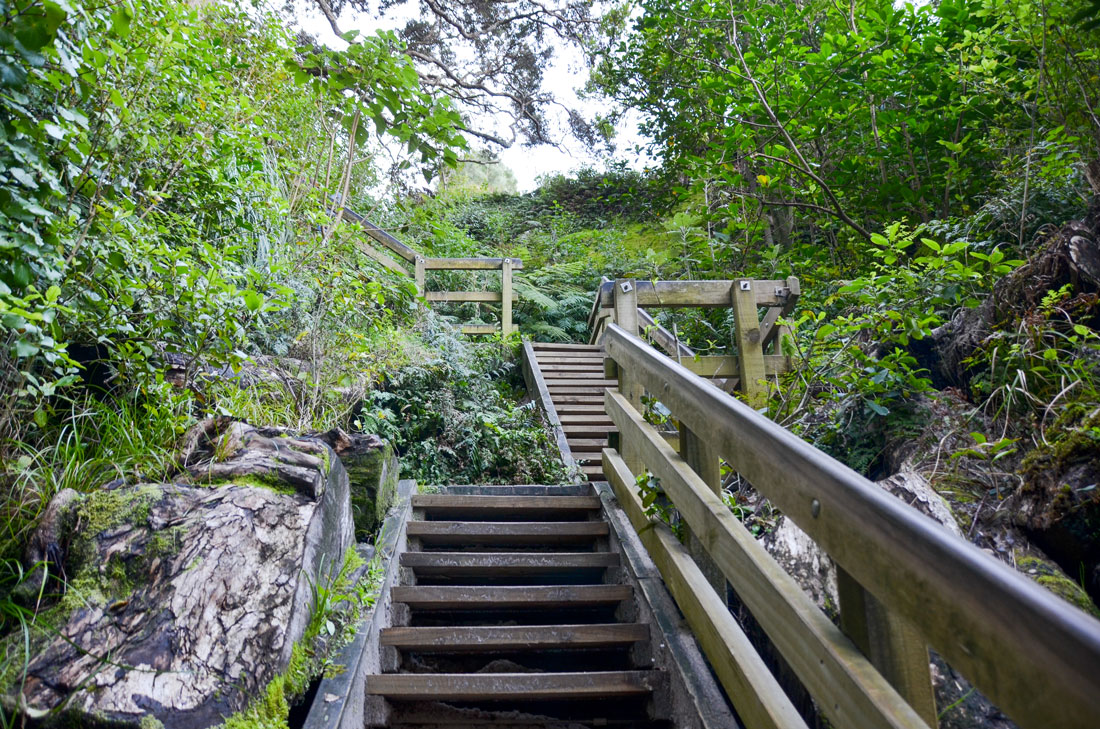 escaliers-cathedral-cove